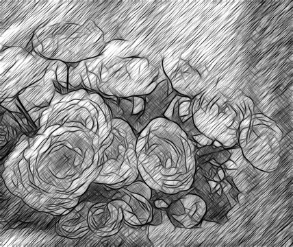 花卉白描画