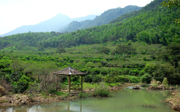 广州从化山林风光