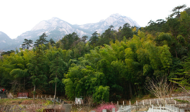 黄山