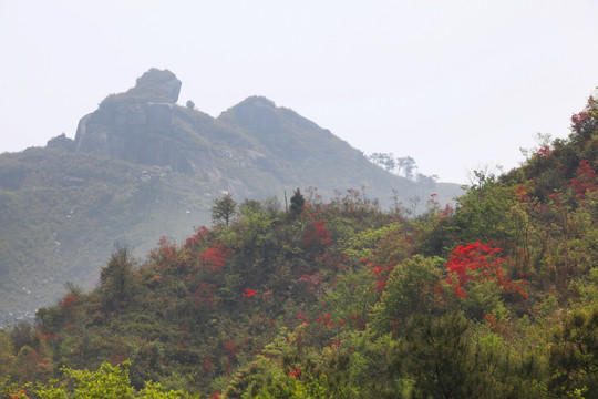 仙岩风景区