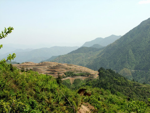 梯田 松古田园 农田 高山