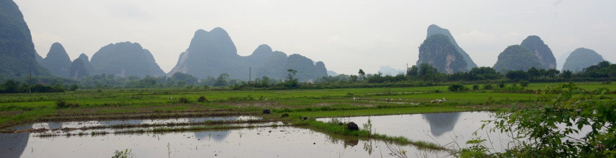 山峰水田