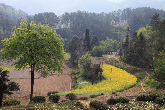 山村 集镇