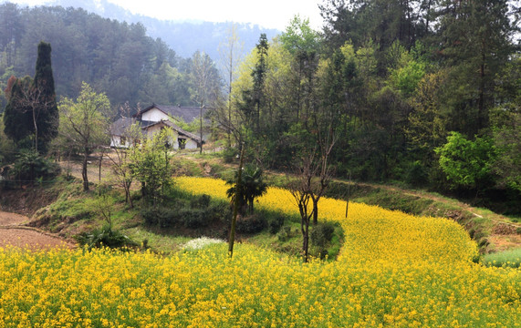 山村 集镇