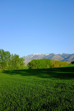 田野 全景