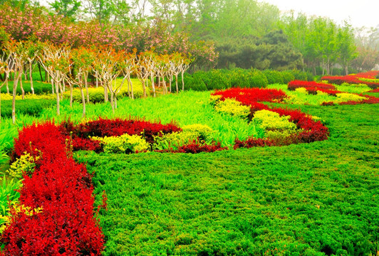 春天多彩的花园绿地