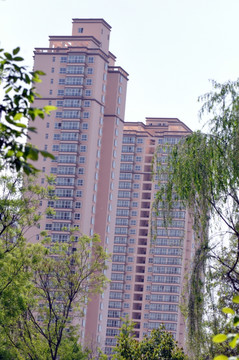 高樓