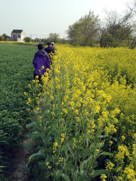 清明节