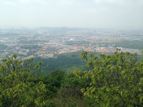 紫金山 头陀岭 钟山风景区