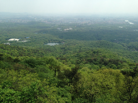 紫金山 头陀岭 钟山风景区