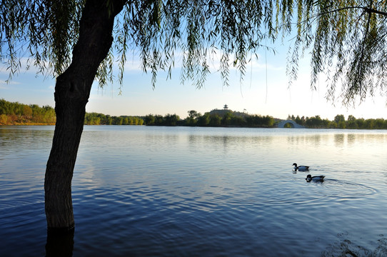 鹅城东湖风景