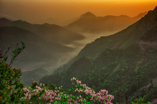 杜桥白岩山