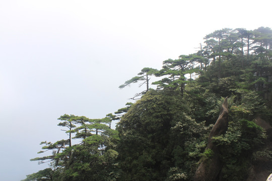 三清山