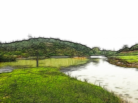 田野風(fēng)光