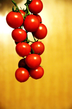 小西红柿 圣女果