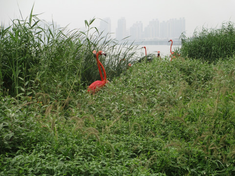 金鸡湖 雕塑 景观