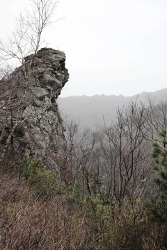 朱雀森林公园