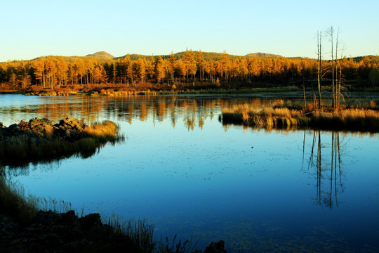 阿尔山 杜鹃湖秋色 湿地