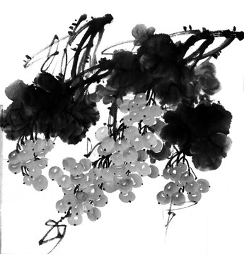 水墨 葡萄 不分層