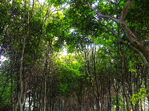 綠樹成陰