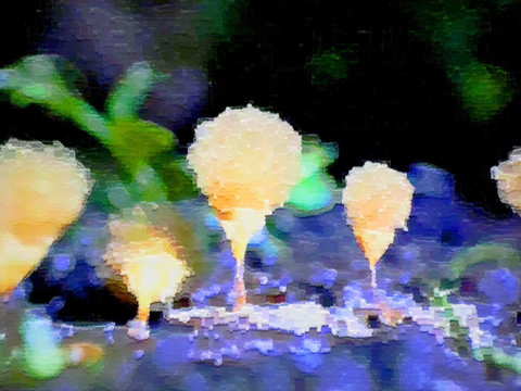 色彩 抽象 裝飾畫(huà) 油畫(huà)