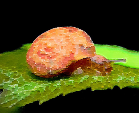 色彩 抽象 裝飾畫(huà) 油畫(huà)