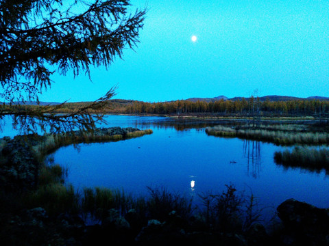 夜晚的湖面 杜鹃湖 月亮