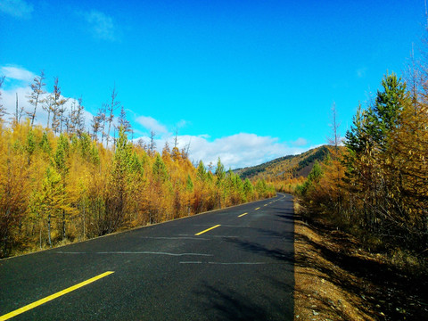 秋季山区公路