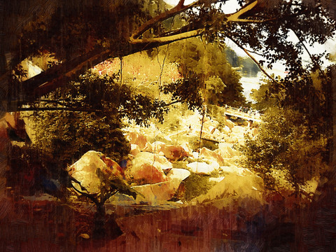 叢林風(fēng)景