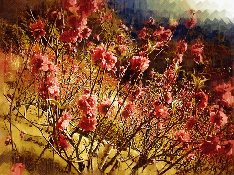 桃花林