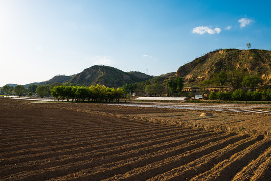 田园风光