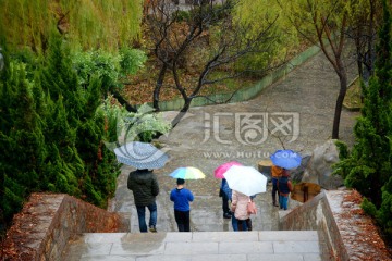 雨中游人