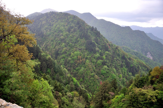 岚皋风景 神河源 千层河