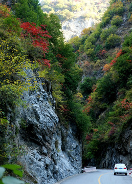 峡谷秋色