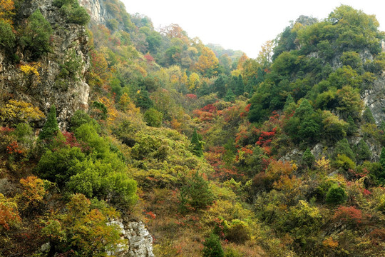 峡谷秋色