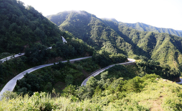 山路弯弯