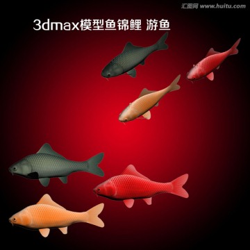 3dmax模型鱼锦鲤 游鱼