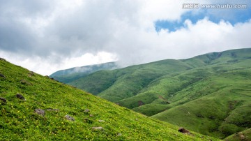 云南会泽大海草山