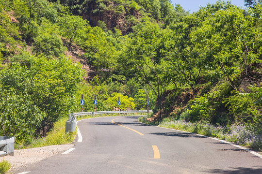 曲折的道路