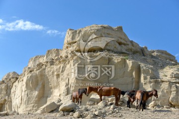 雅丹地貌 野马