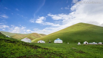 云南会泽大海草山