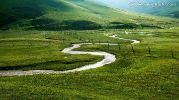 云南会泽大海草山