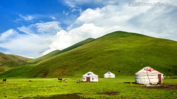 云南会泽大海草山