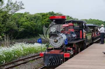 济州岛原生态公园 观光火车