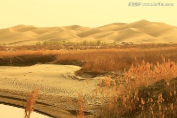 新疆的沙漠与绿洲
