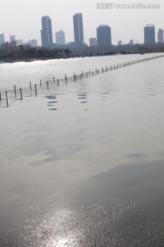 南京 玄武湖 休闲场所 水面