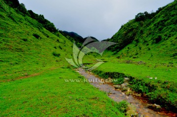 鸡笼顶 高山草甸