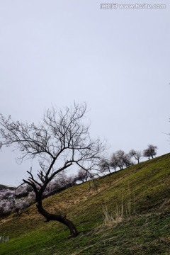 山野