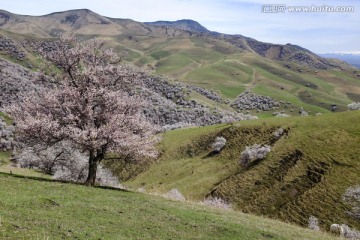 山野