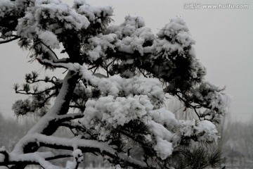 雪景